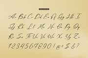 Palmintte | Handwritten Script, a Script Font by gracetype_studio (Thumbnail 10 of 12)