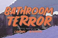 Bathroom Terror