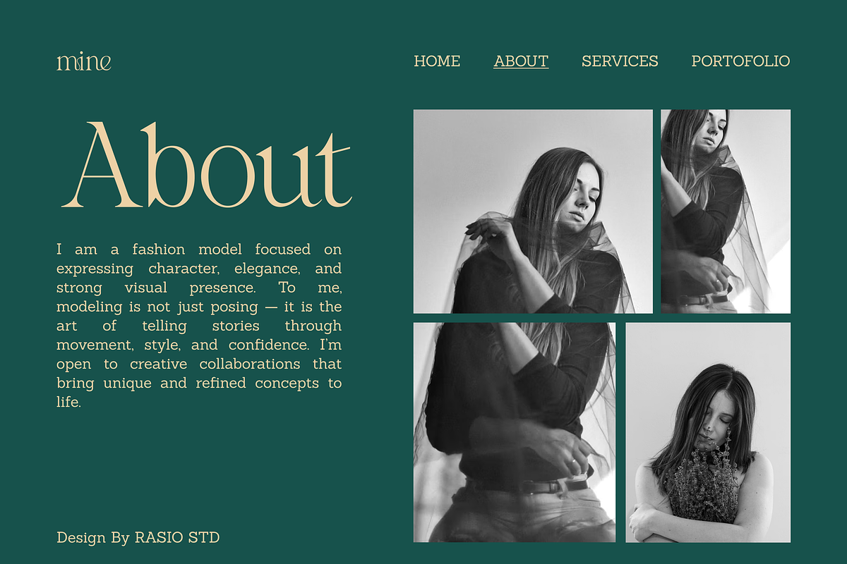 Salmine Modern Elegant Serif Font, a Serif Font by Vadovastd (Photo 4 of 8)