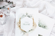Watercolor floral collection, a Decorative Illustration by ollalya (Thumbnail 11 of 12)