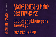 Northline Scratch – Horror Brush, a Handwritten Font by Youthlabs Studio (Thumbnail 13 of 15)
