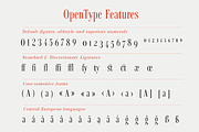 Fortezza Condensed, a Serif Font by Eurotypo (Thumbnail 5 of 6)