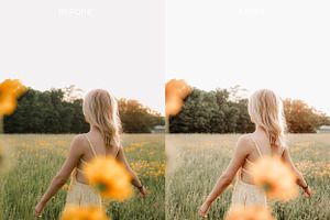 5 FIELDS OF WHEAT LIGHTROOM PRESETS