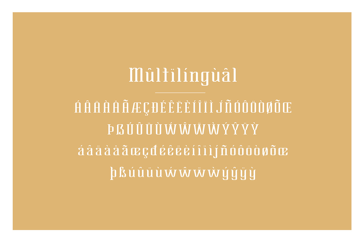 Brylan Typeface, a Serif Font by ANDR35 (Photo 7 of 8)