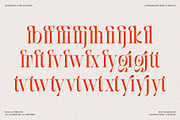 SLTF BOXROOM - Modern Serif Typeface, a Serif Font by SilverStag Type Foundry (Thumbnail 30 of 30)
