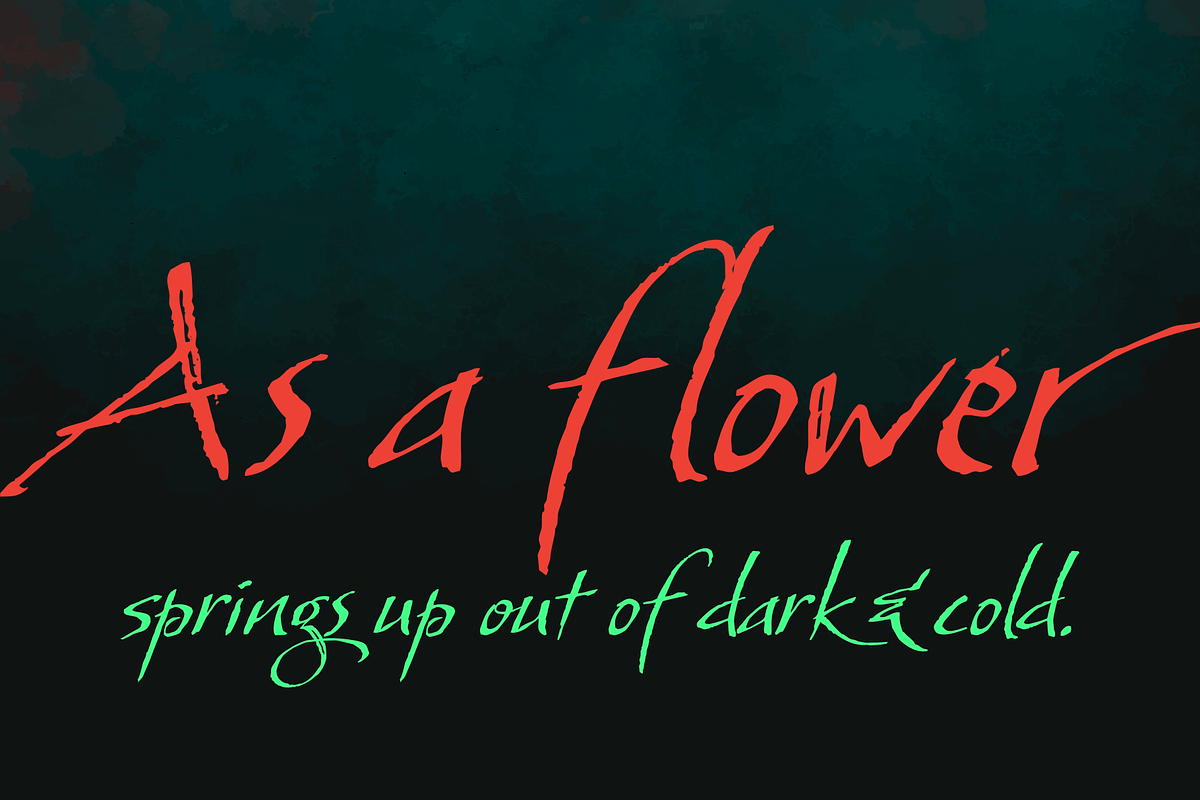 So Lovely Script Typeface preview 5