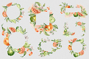 Citrus fruits and flower watercolor, a Decorative Illustration by Kate Lanbina (Thumbnail 8 of 20)
