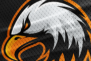 Eagle mascot sport logo design, an Animal Illustration by provector (Thumbnail 2 of 3)
