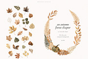 An Autumn Forest Chapter Collection, an Animal Illustration by PeDe Designs (Thumbnail 12 of 29)