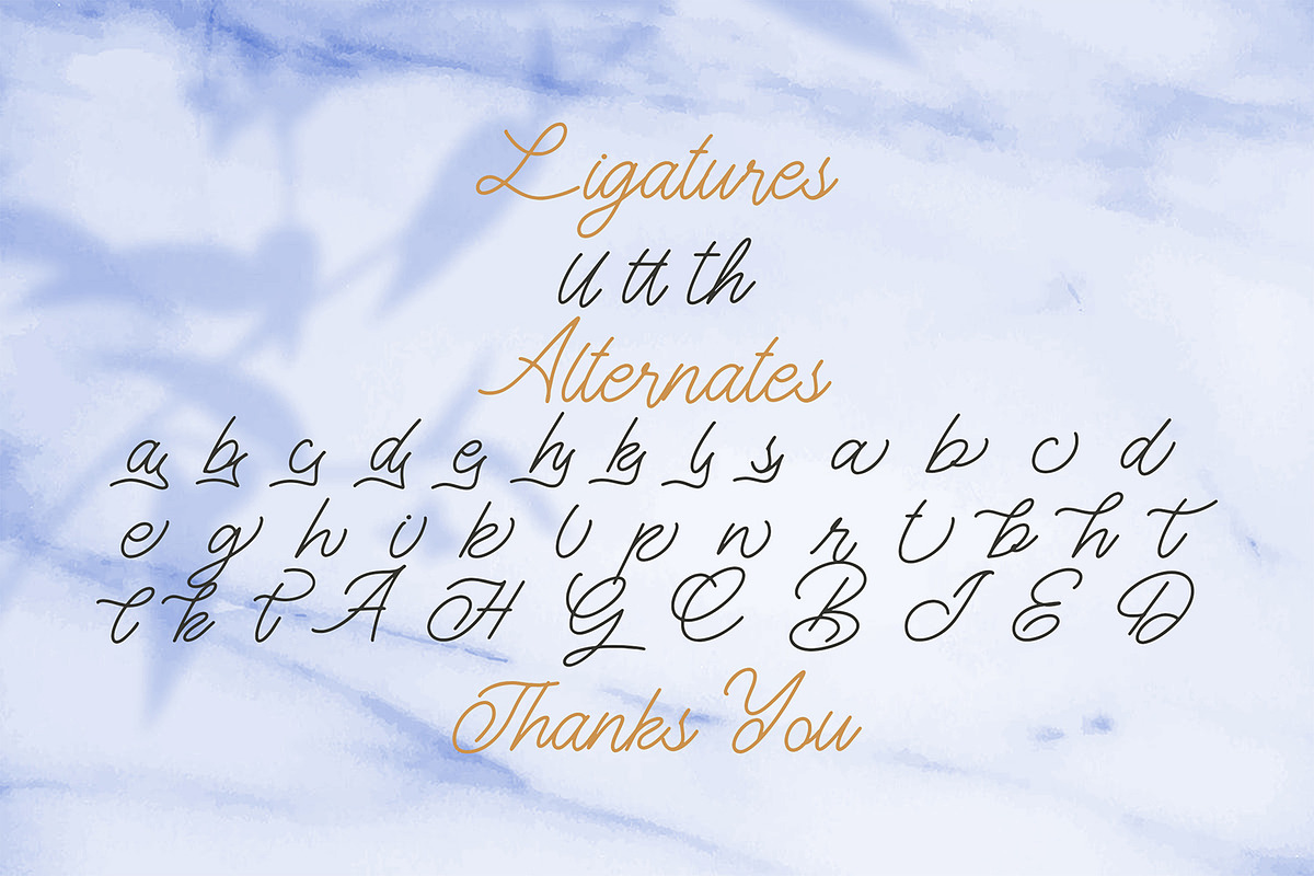 The Gallery - Monoline Script Font, a Script Font by StringLabs (Photo 8 of 8)