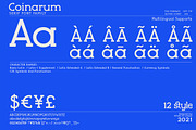 Coinarum - Serif font family, a Serif Font by Artistic & Unique (Thumbnail 10 of 12)