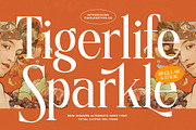 Tigerlife Sparkle Modern Serif, a Serif Font by timelesstype.co (Thumbnail 1 of 20)