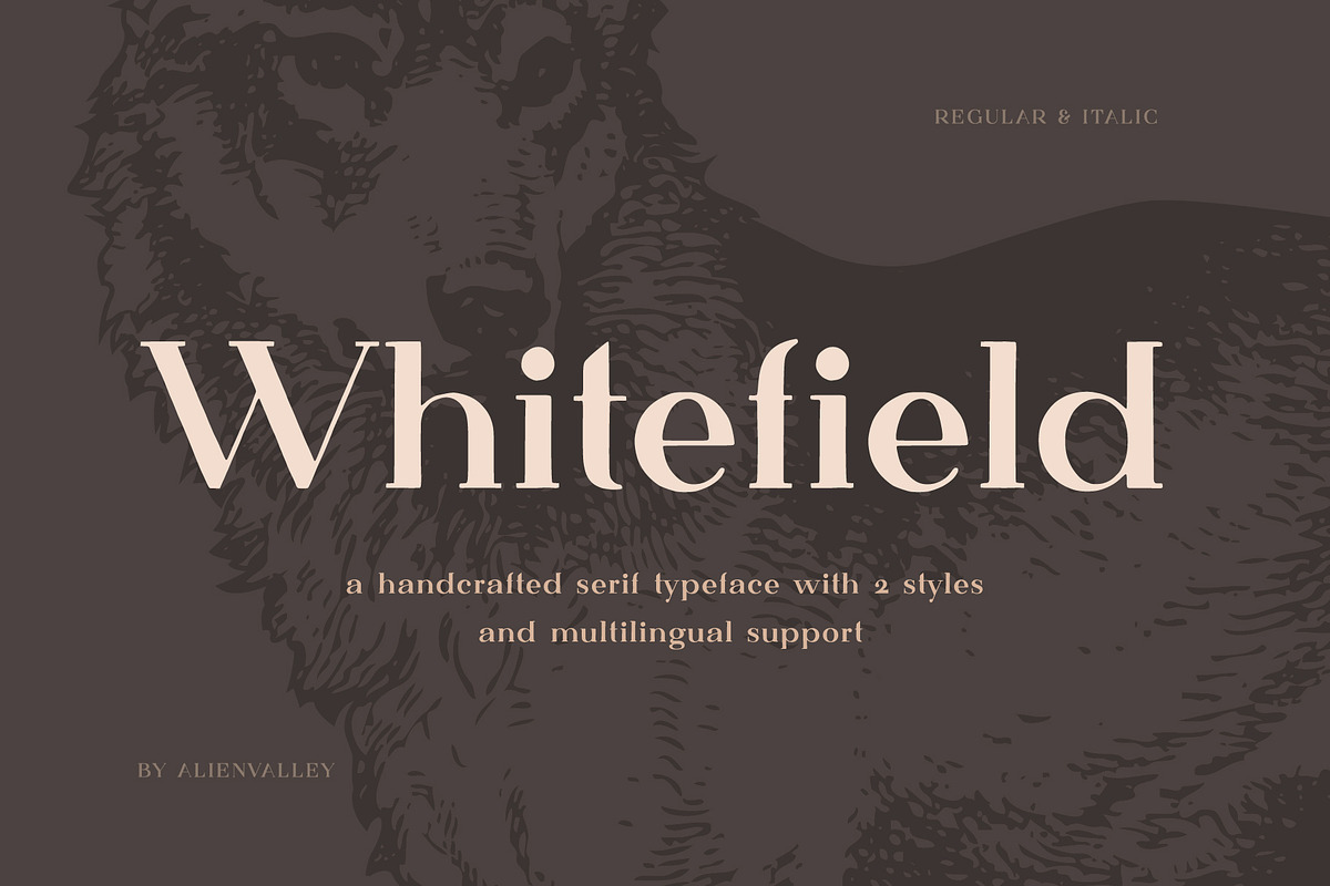 Whitefield - Handcrafted Serif, a Serif Font by AlienValley (Photo 1 of 8)