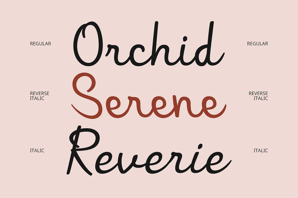 CS Glinka – Script Font, a Script Font by Craft Supply Co. (Photo 4 of 8)