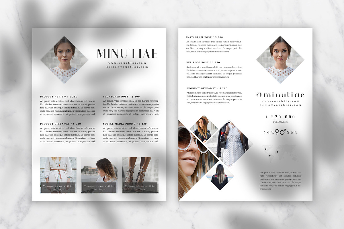 Media Kit, a Stationery Template by Eesome Design Studio (Photo 3 of 4)