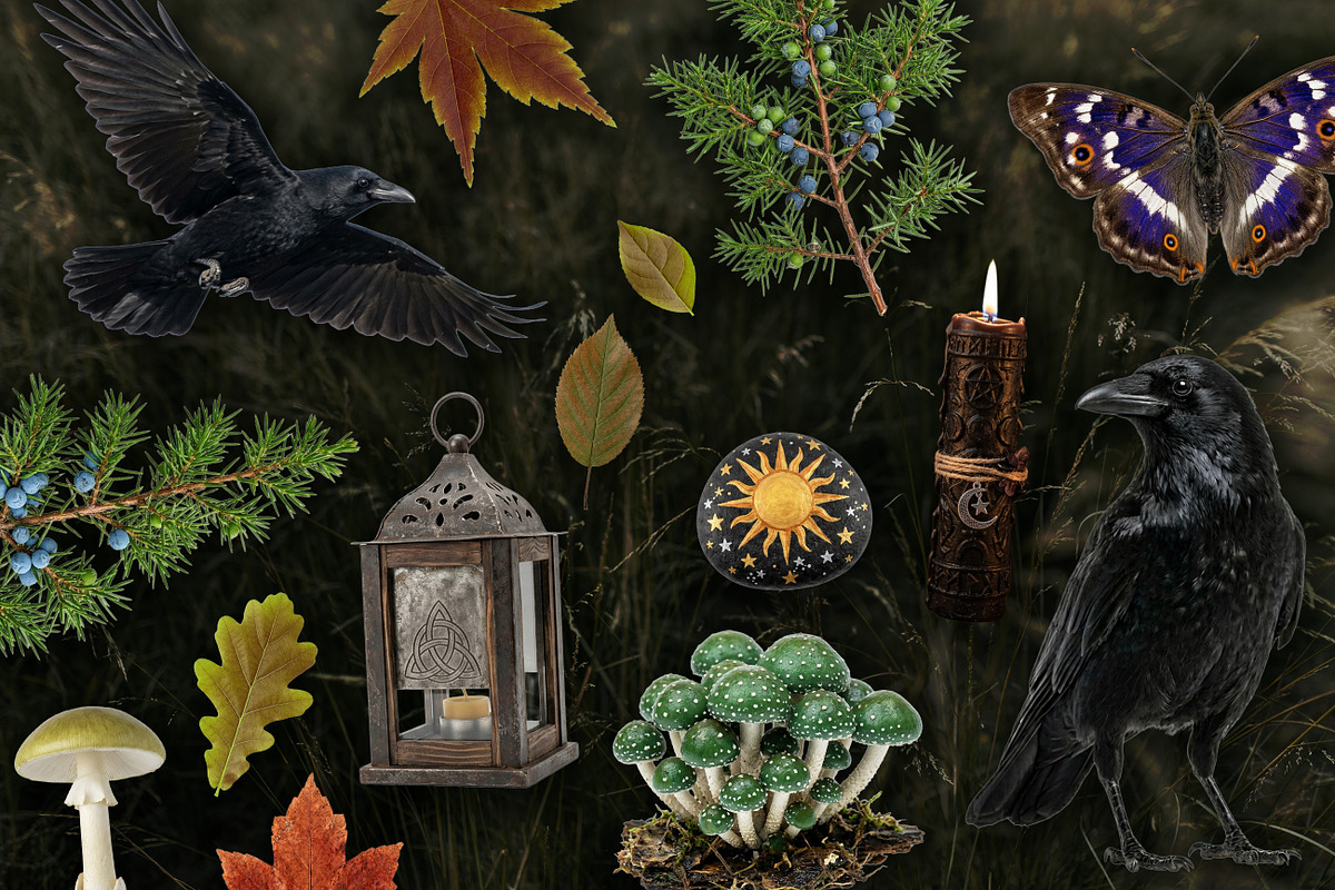 Witch's Magic Garden Collage Kit, an Object Illustration by Vicccky (Photo 4 of 9)