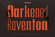 TRT Regard Condensed Display Font, a Serif Font by truetype (Thumbnail 8 of 15)