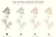 Botanical Floral Line Art Collection, a Decorative Illustration by AW Studios (Thumbnail 8 of 9)