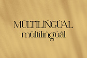 ROYAL PUERTO MODERN SERIF, a Serif Font by The_Type (Thumbnail 11 of 11)