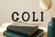 Coli | Modern Luxury Serif, a Serif Font by Astuti Studio (Thumbnail 4 of 22)