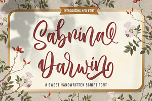 Sabrina Darwin Sweet Script Font