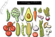 Hand Drawn Vegetables Illustrations, a Graphic by Hand drawn Boutique (Thumbnail 2 of 4)