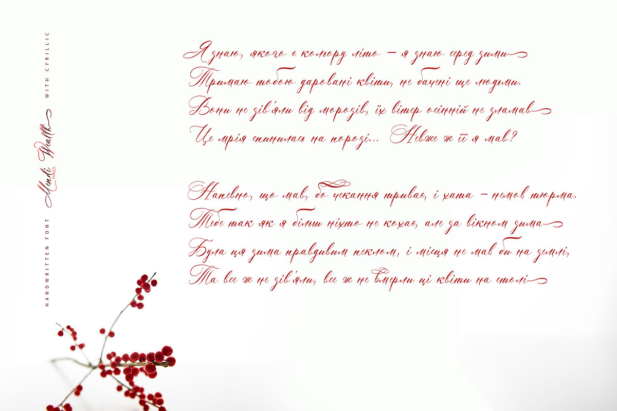 Mendi Wealth Cyrillic Font, a Script Font by IraDvilyuk (Photo 2 of 12)