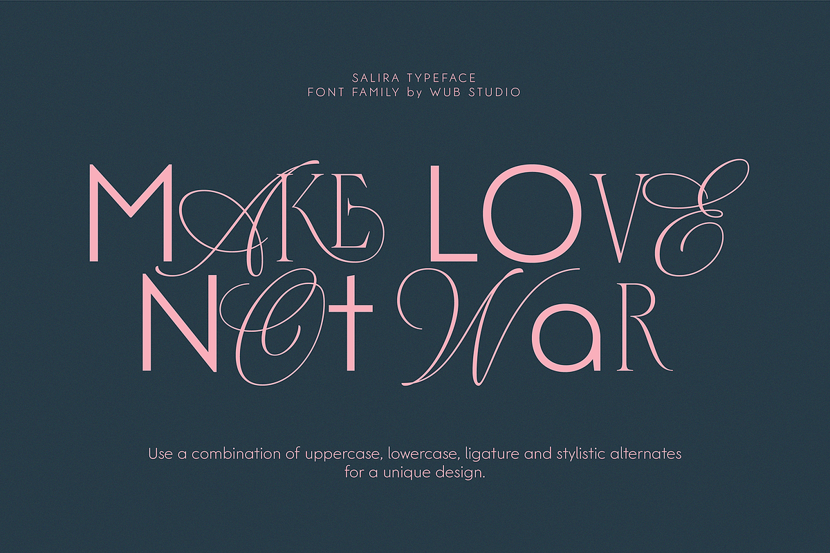 Salira Typeface, a Sans Serif Font by wubstudio (Photo 8 of 15)