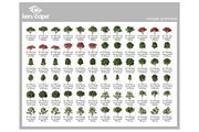 72 Assorted Trees Photo Overlays, a Nature Photo by KenScape (Thumbnail 3 of 3)