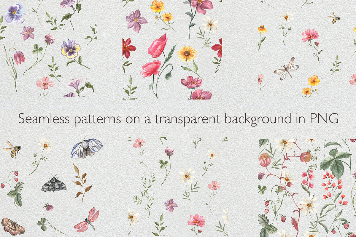 Field of wildflowers, an Object Illustration by ViolettaKh (Photo 3 of 12)