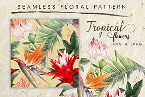 UPDATE - Tropical Bundle & Flamingo