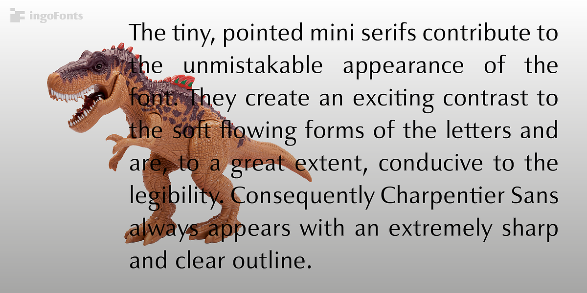 Charpentier Sans Pro, a Sans Serif Font by ingoFonts (Photo 9 of 10)
