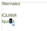 Iguana - Airy & Grounded Font by Meg, a Sans Serif Font by MEG BURK CHOI (Thumbnail 3 of 3)