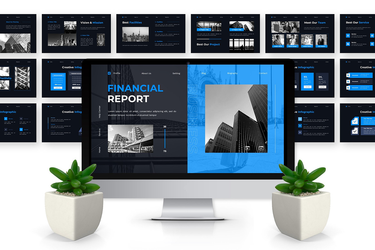 Financial Report - Business Key preview 3