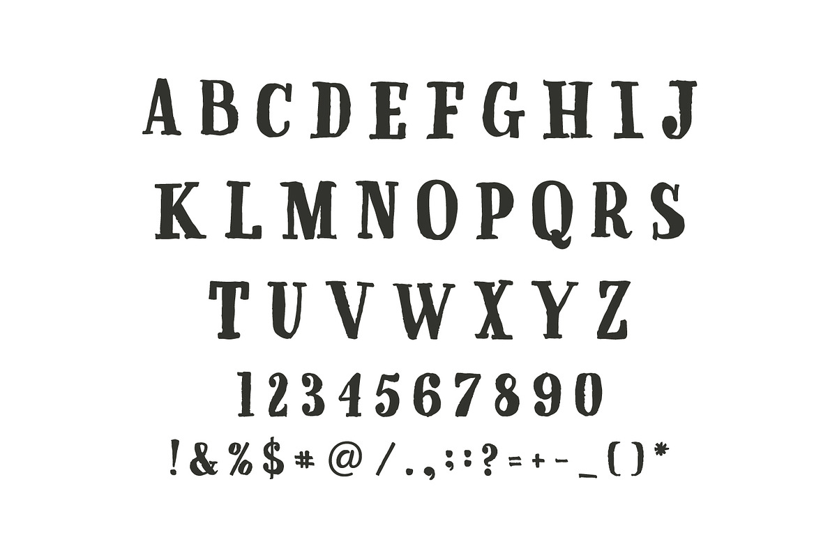 Font Serif 50% discount preview 3