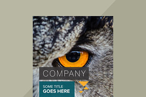 Company Brochure Design Template