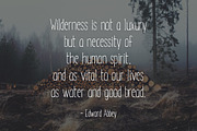 Black Aspen, a Handwritten Font by Ember Studio (Thumbnail 3 of 4)
