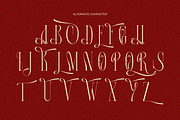Alqeon, a Serif Font by zaaintype (Thumbnail 4 of 9)