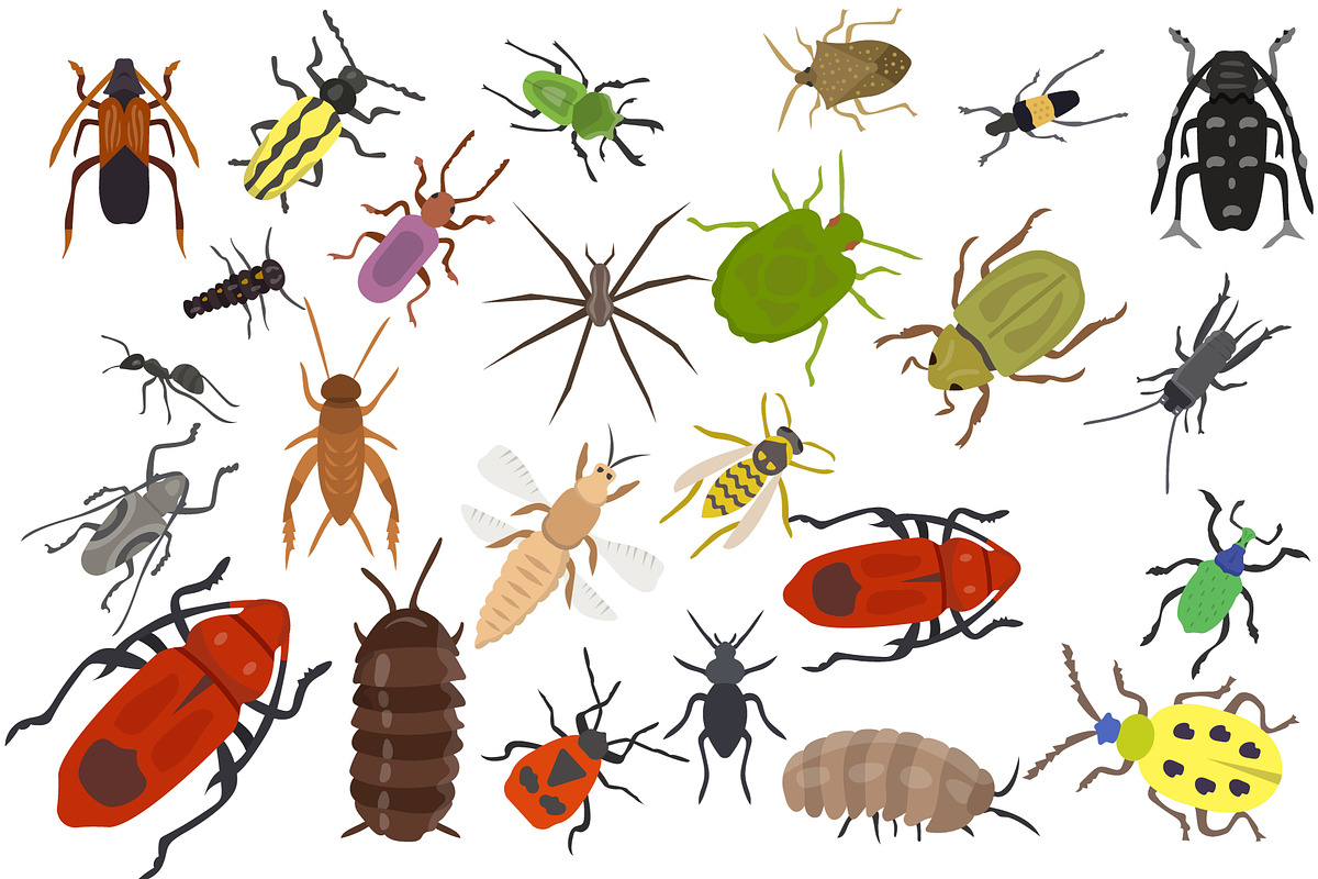 60 Insects Vector Icons, a Duotone Icon by Vectors Market (Photo 1 of 3)