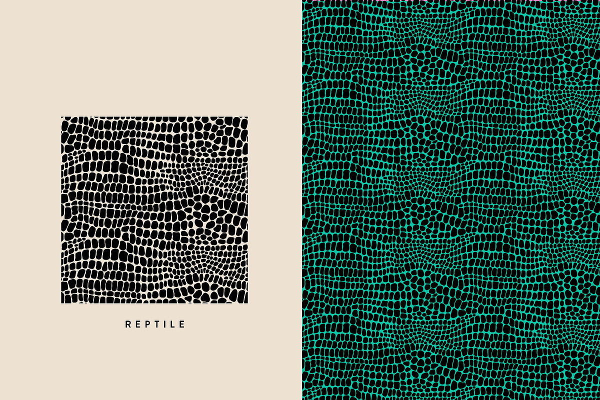 Seamless Animal Print Patterns, a Pattern Graphic by Jaclyn Caris (Photo 5 of 13)