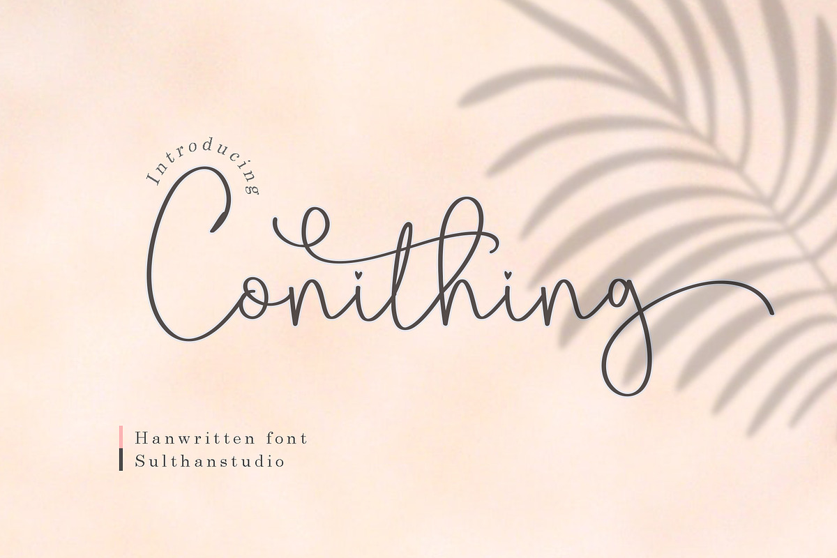 Swashy Font Bundle, a Script Font by Sulthan Studio