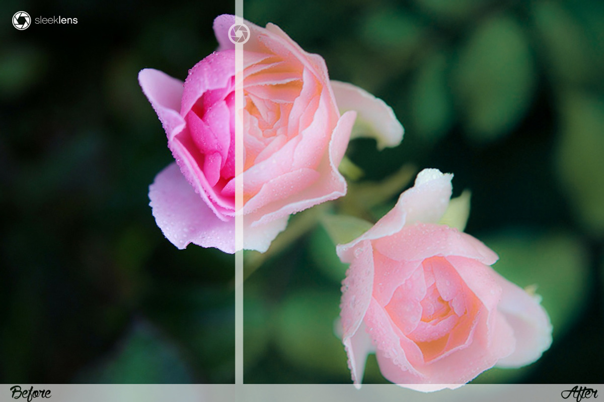 Pastel Elegance Lightroom Presets, an Action Add-On by Sleeklens (Photo 5 of 5)