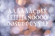 Merlin Lynet font, a Serif Font by TNE Designs (Thumbnail 4 of 6)