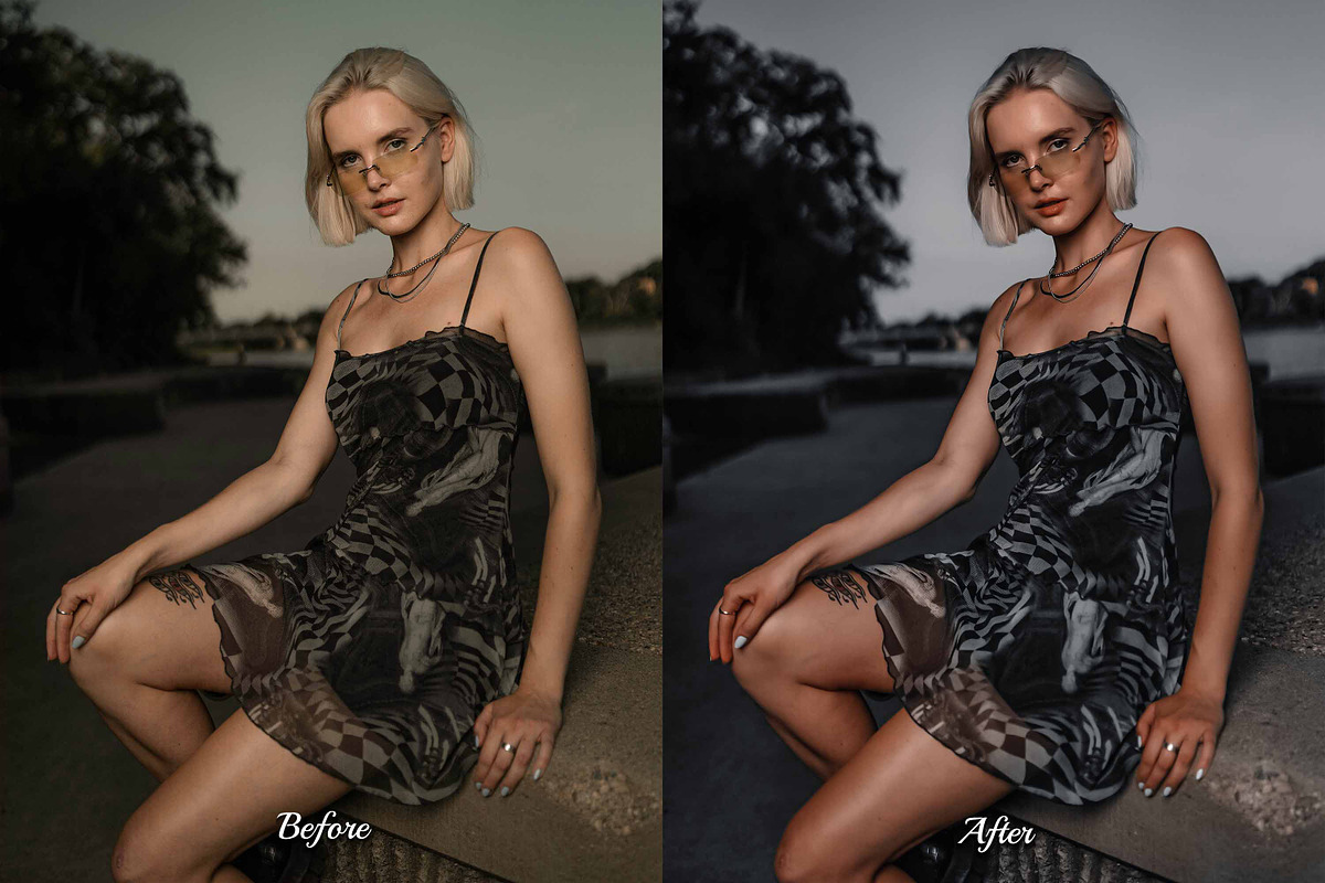 30 Silver LUT Collection, a Preset Add-On by 3Motional (Photo 2 of 10)