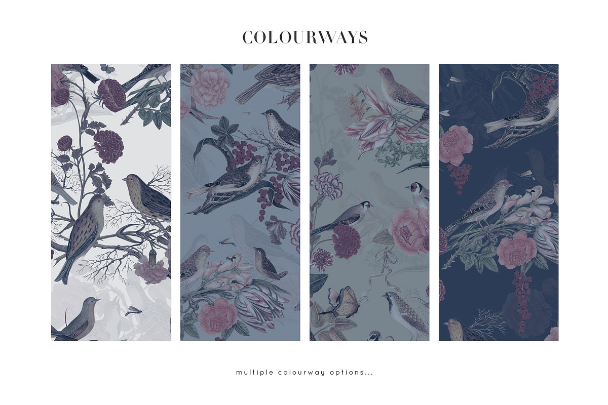 Rosavin Botanical Birds Patterns!, a Pattern Graphic by Pink Linen (Photo 2 of 10)