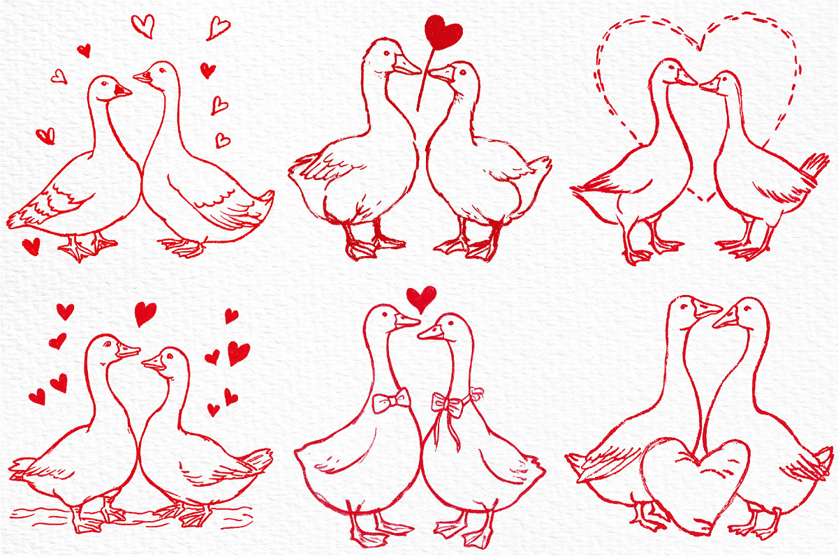Valentines Goose Couple Hand-Drawn, an Illustration by Craft Nest (Photo 4 of 8)