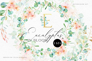 Eucalyptus Bloom Watercolor