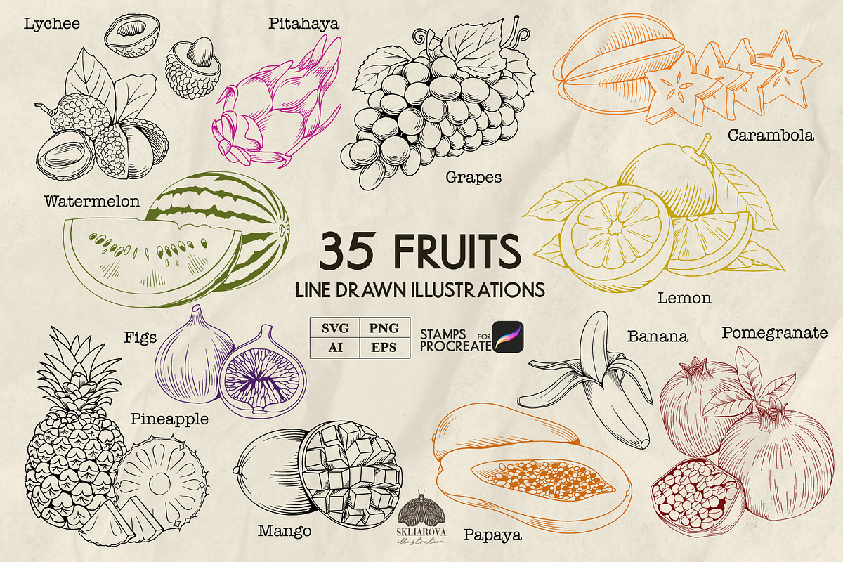 Fruits Line Art + Procreate, a Food Illustration by Skliarova (Photo 1 of 4)