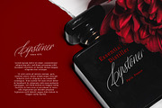 Distoniare - Pretty Script, a Script Font by Letterhend Studio (Thumbnail 2 of 8)