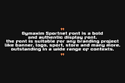 Gymaxim Sportnet, a Sans Serif Font by QR Design Studio (Thumbnail 8 of 11)